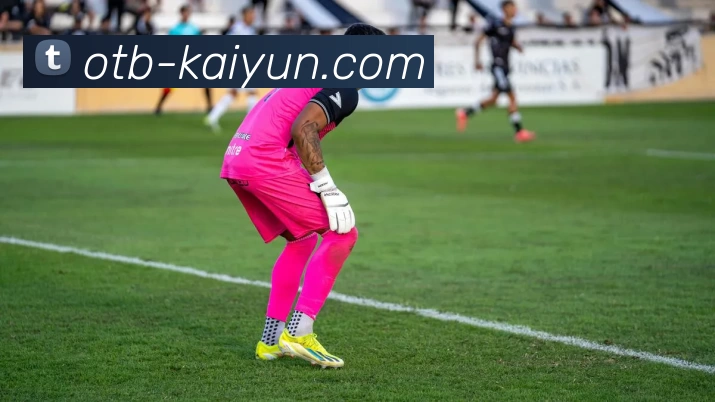 开云APP 体育赛事宣传图